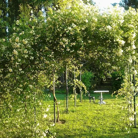 ヴィラ Larniano シエーナ